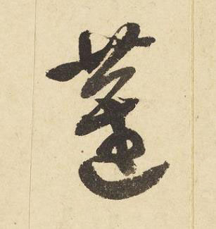 蓮草书书法写法高清图片